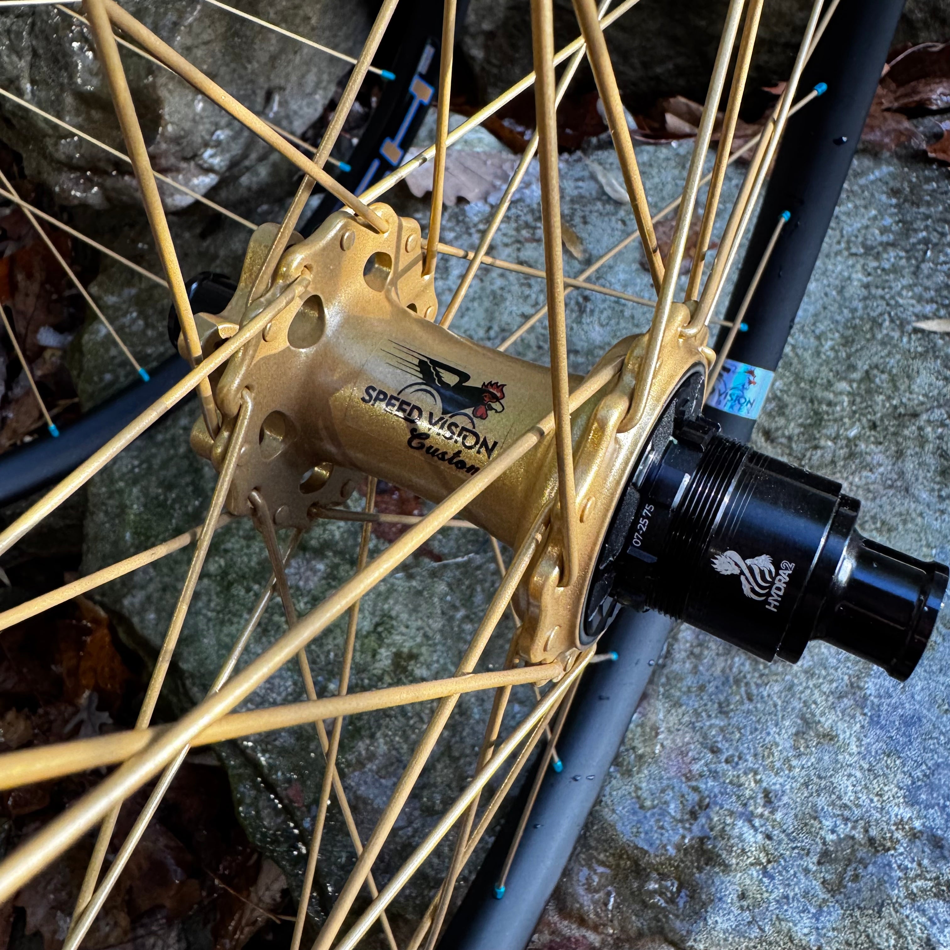 Fox 50th Podium Gold Trail wheels with Hydra H2 hubs