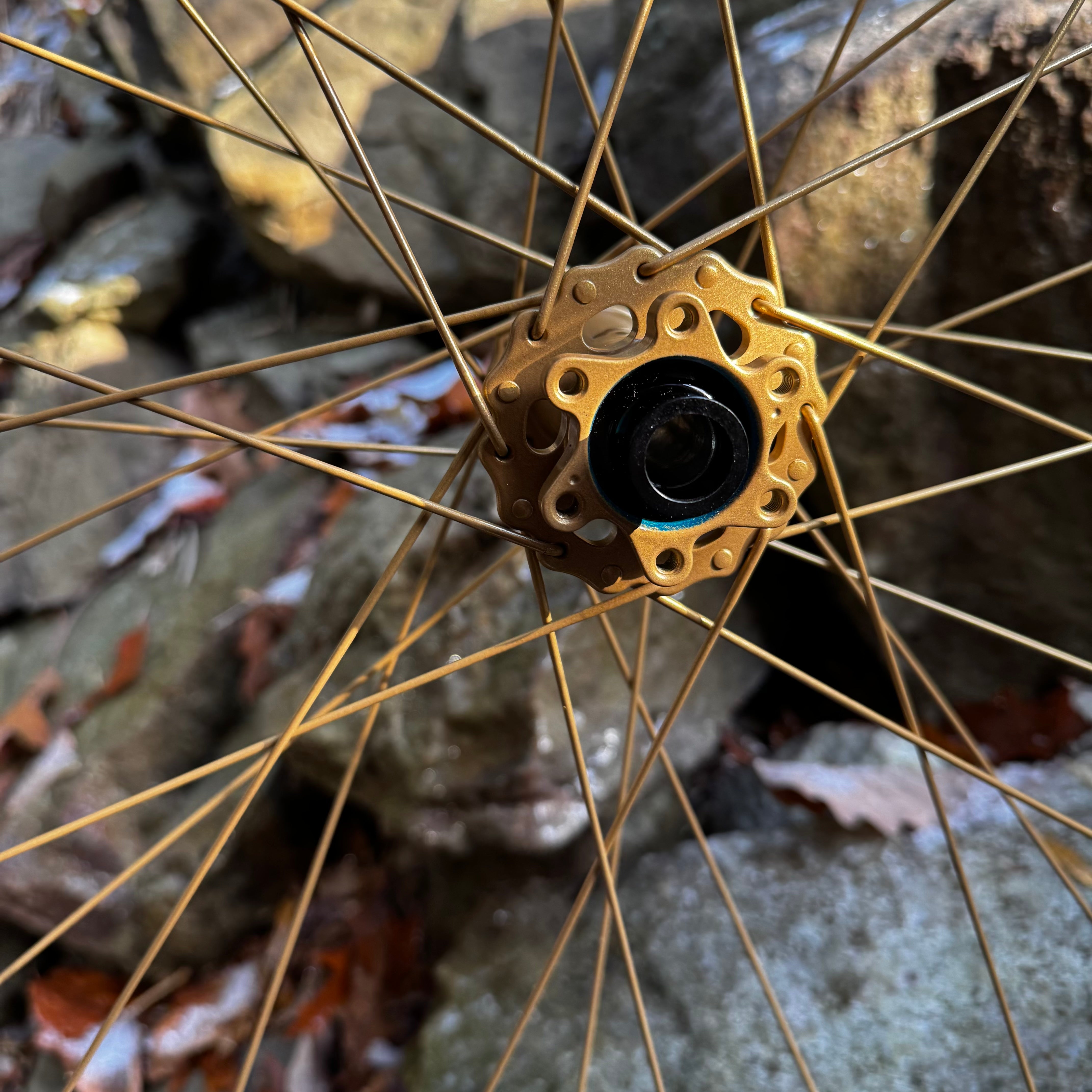 Fox 50th Podium Gold Trail wheels with Hydra H2 hubs