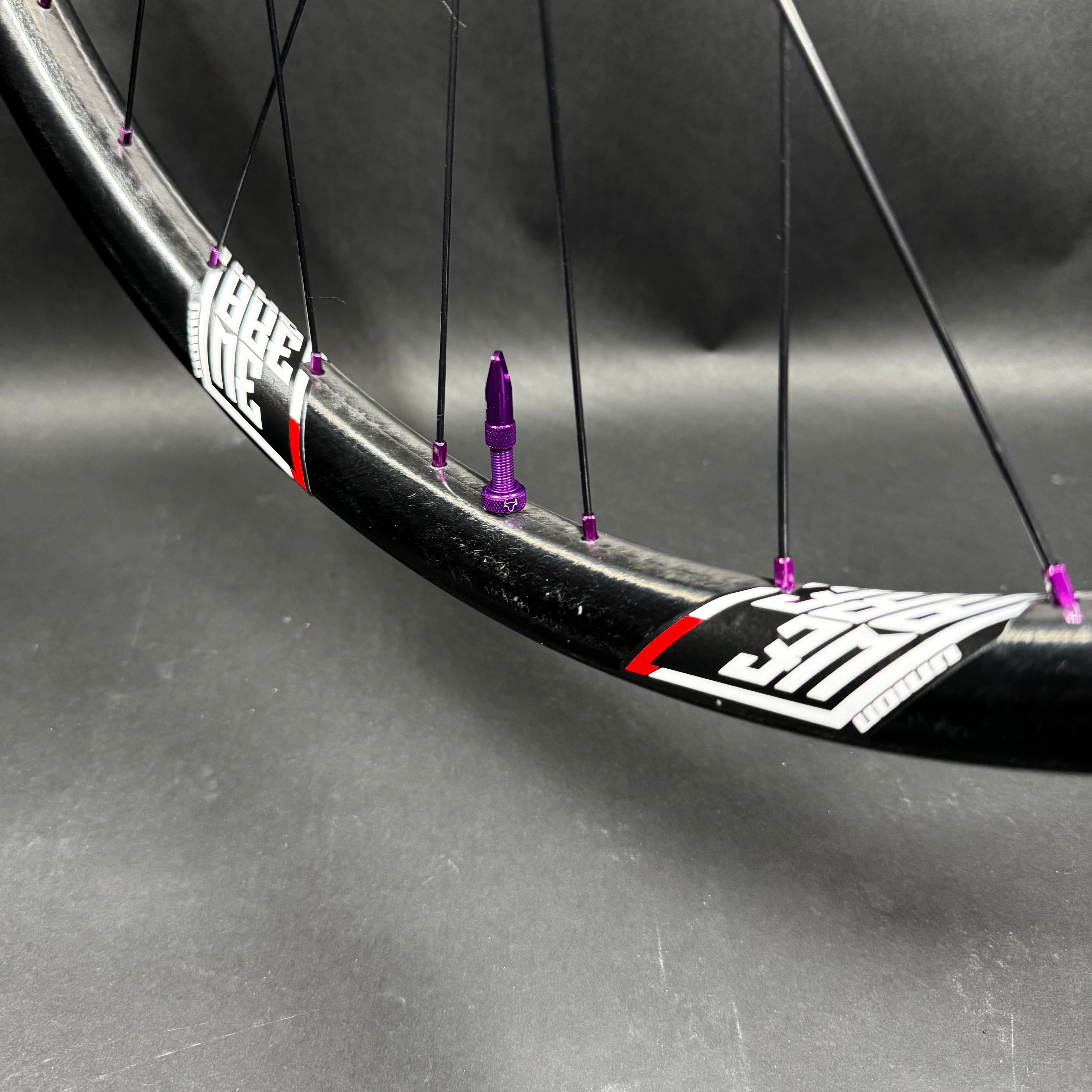 We Are One Union/Strife 29" DH/Ebike/Enduro Wheelset with Spank Hex hubs