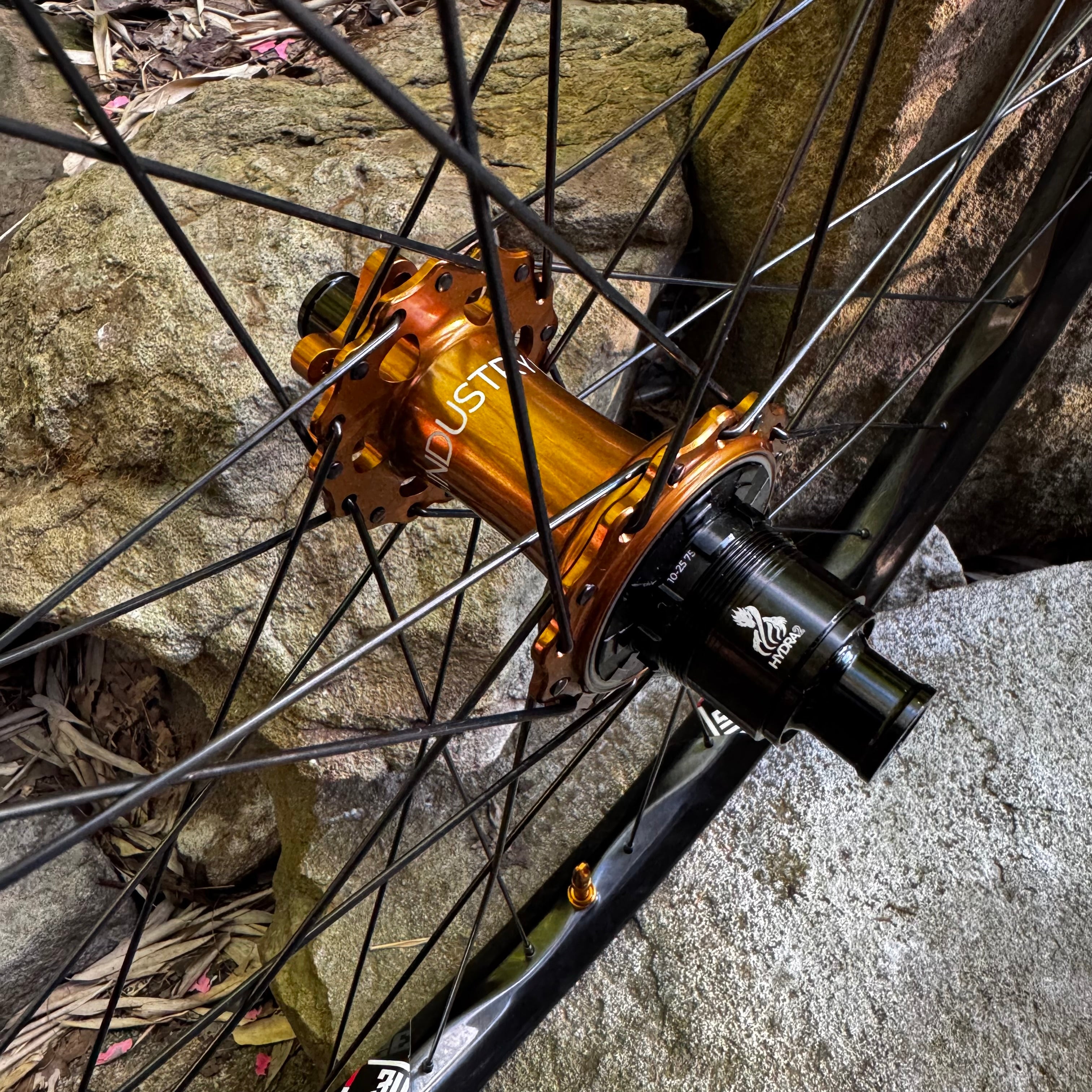 WAO ❤️’s I9 $1555 deal