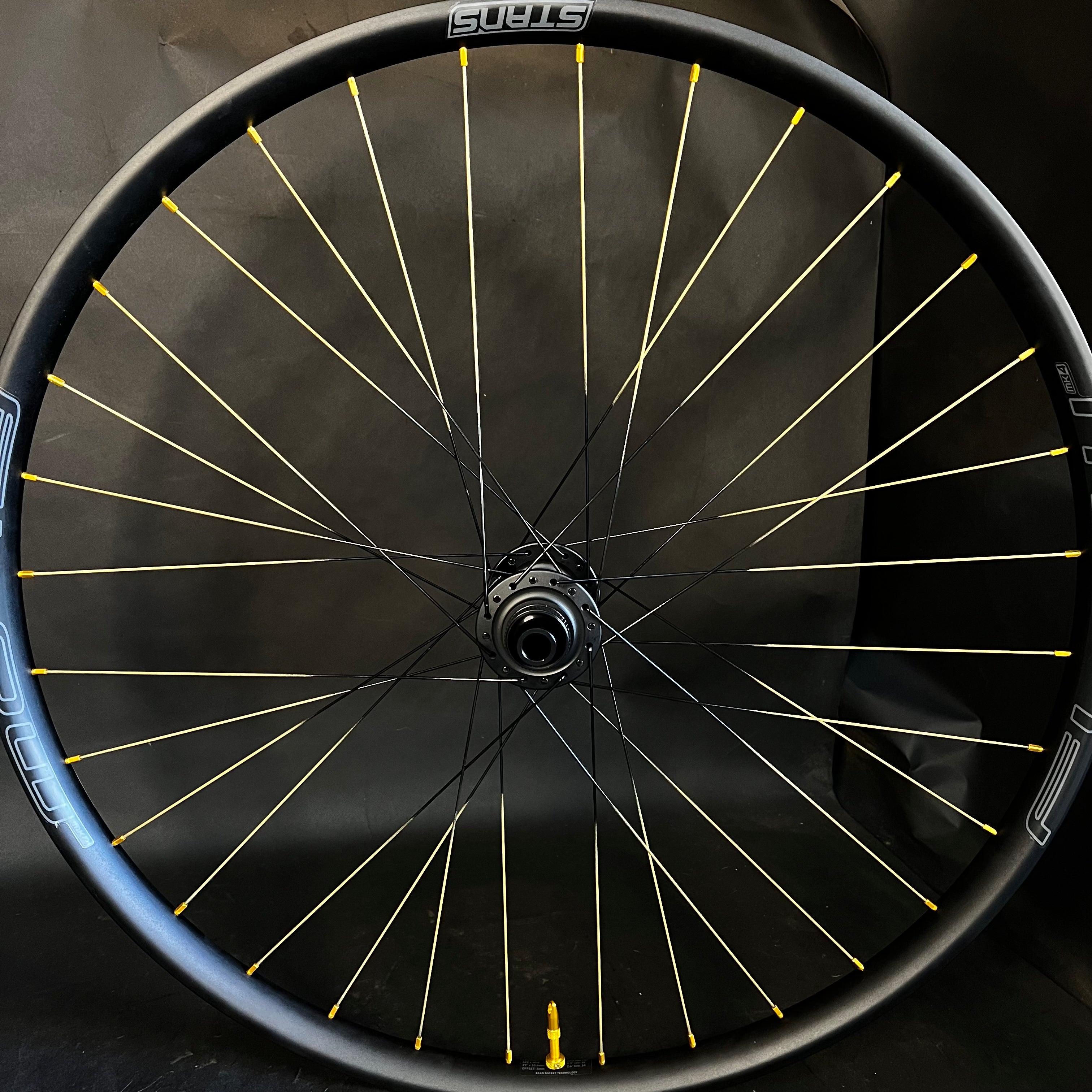Trail: Gold Tipped Flow MK4 29” rims on Chris King Hubs