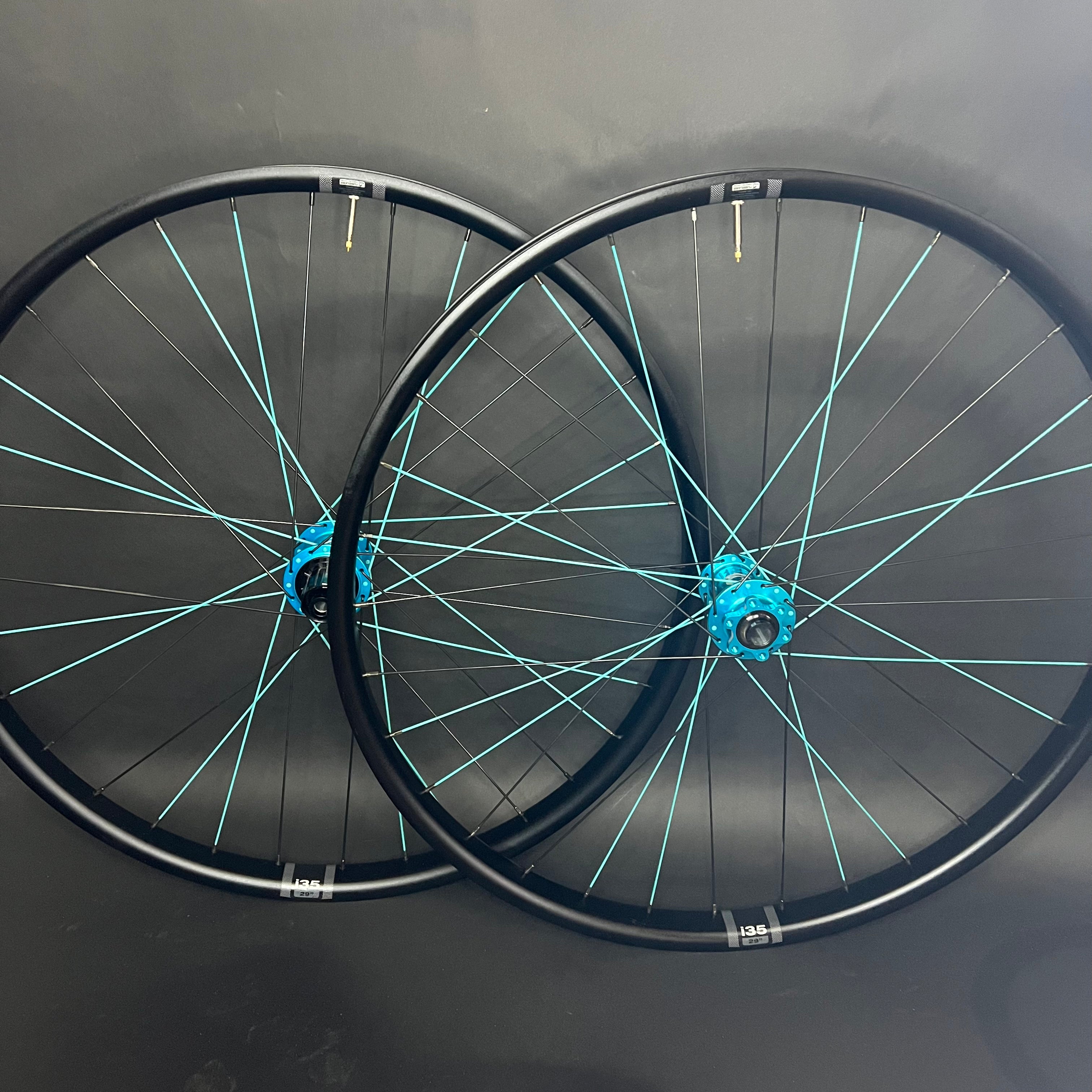 Beefcake E-Bike/DH WTB HTZ I35 + I9 Hydra hubs
