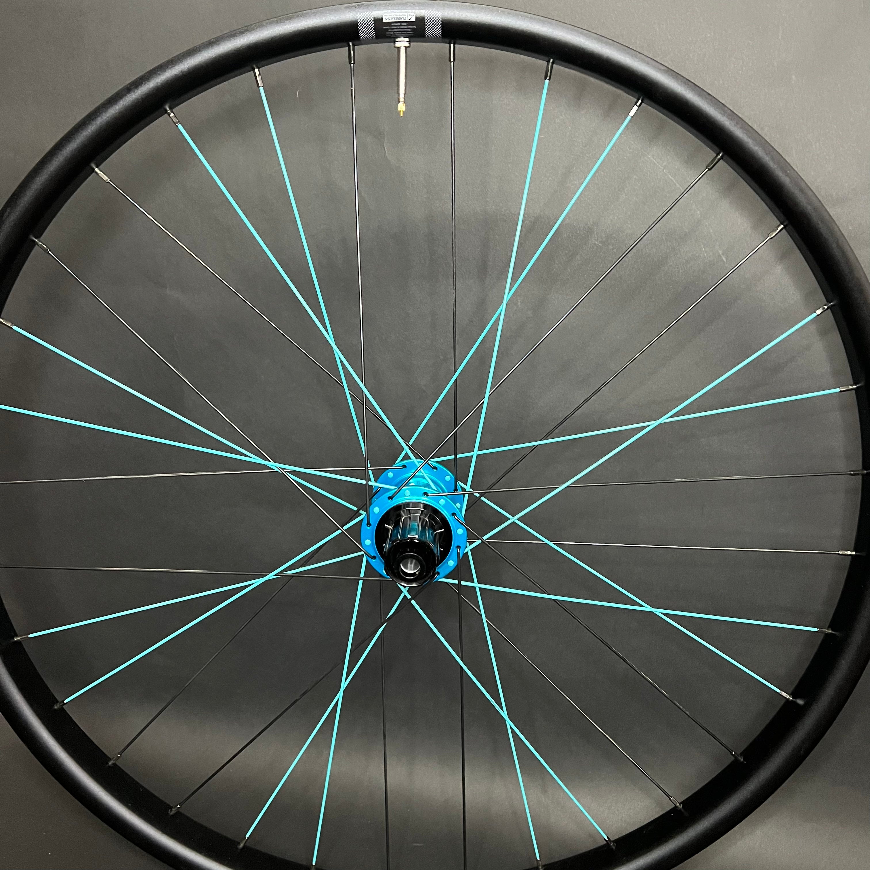 Beefcake E-Bike/DH WTB HTZ I35 + I9 Hydra hubs