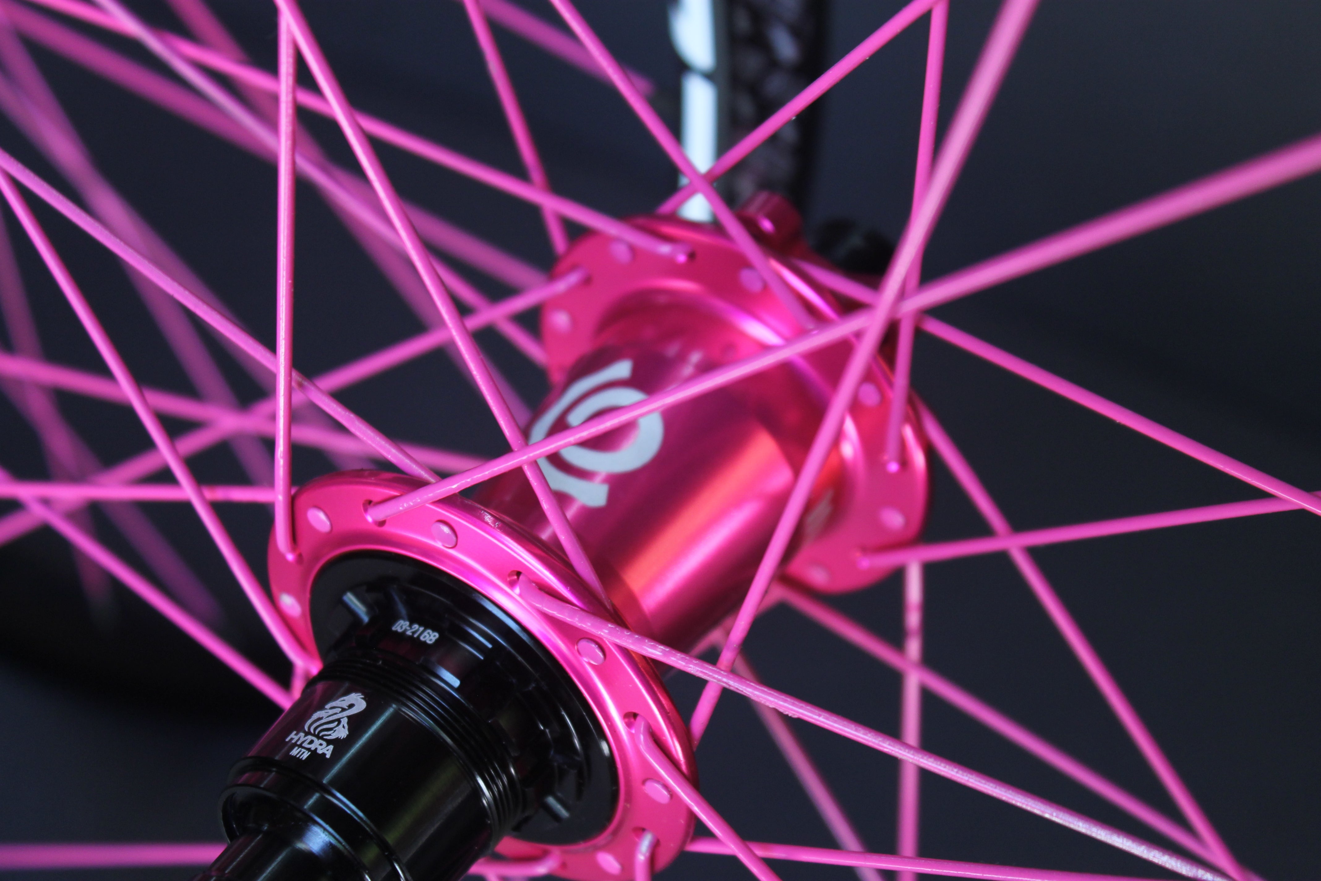 Colored DREAM Spokes and Nipples