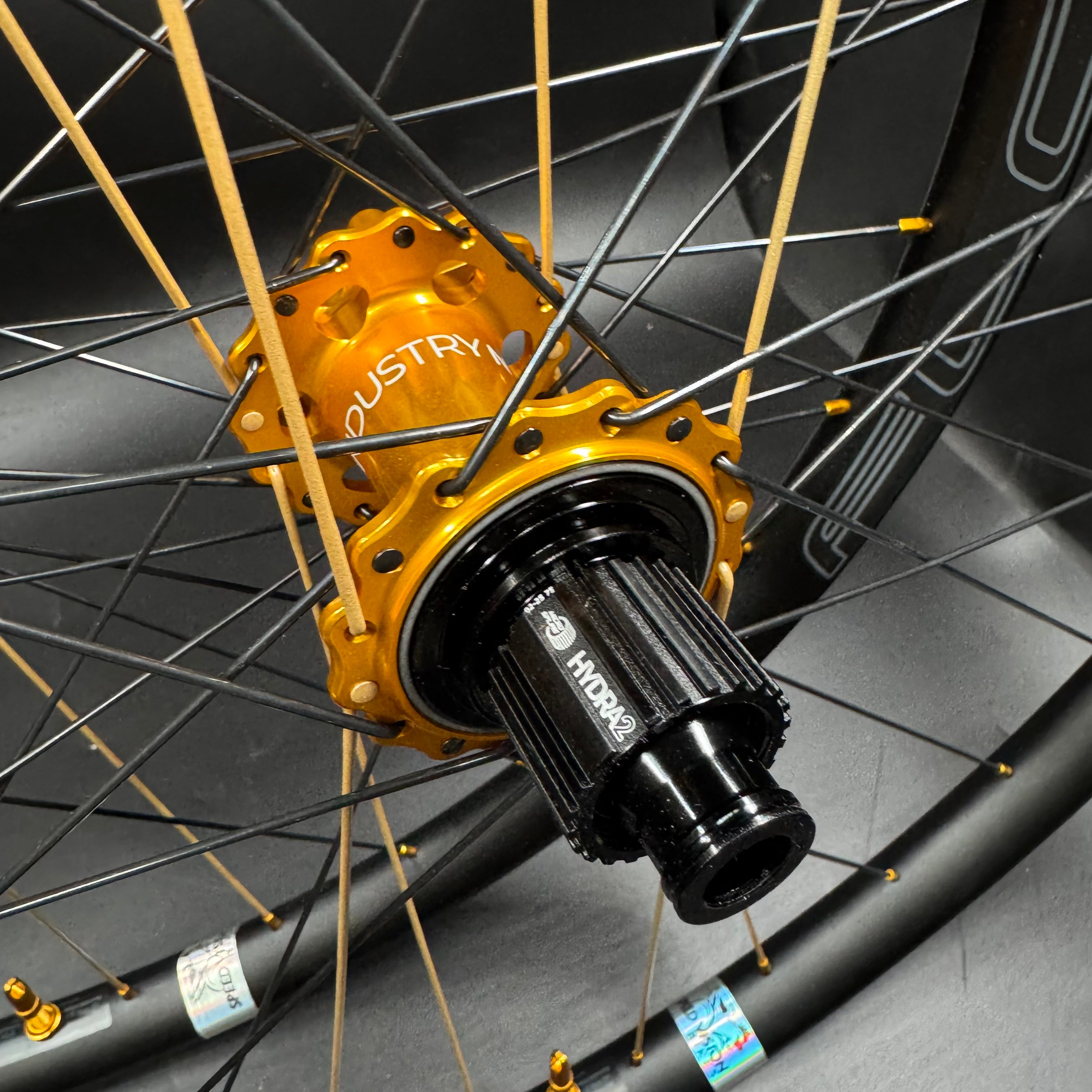 Goldlicious I9 Hydra H2 + Stans Mullet wheelset