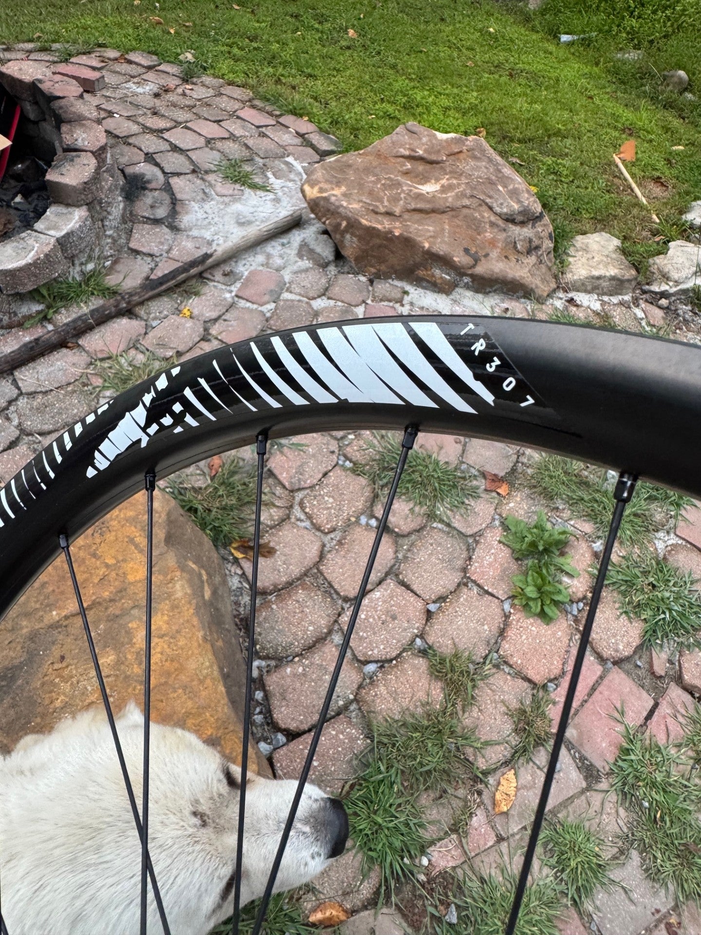 NEW Reynolds Carbon TR307 wheels with Non Boost Hubs