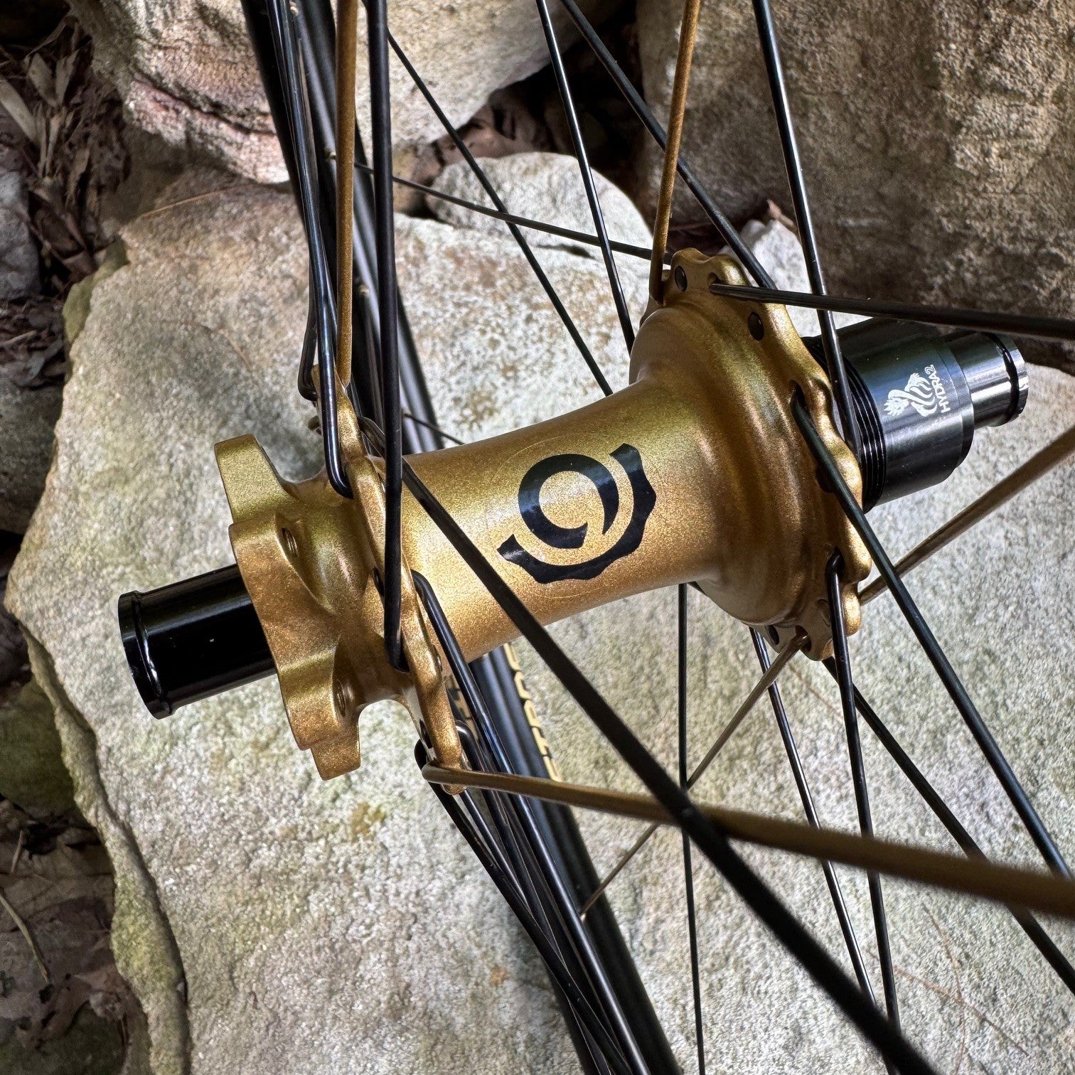 Fox Podium Gold Matching Wheels With Hydra 2 Hubs