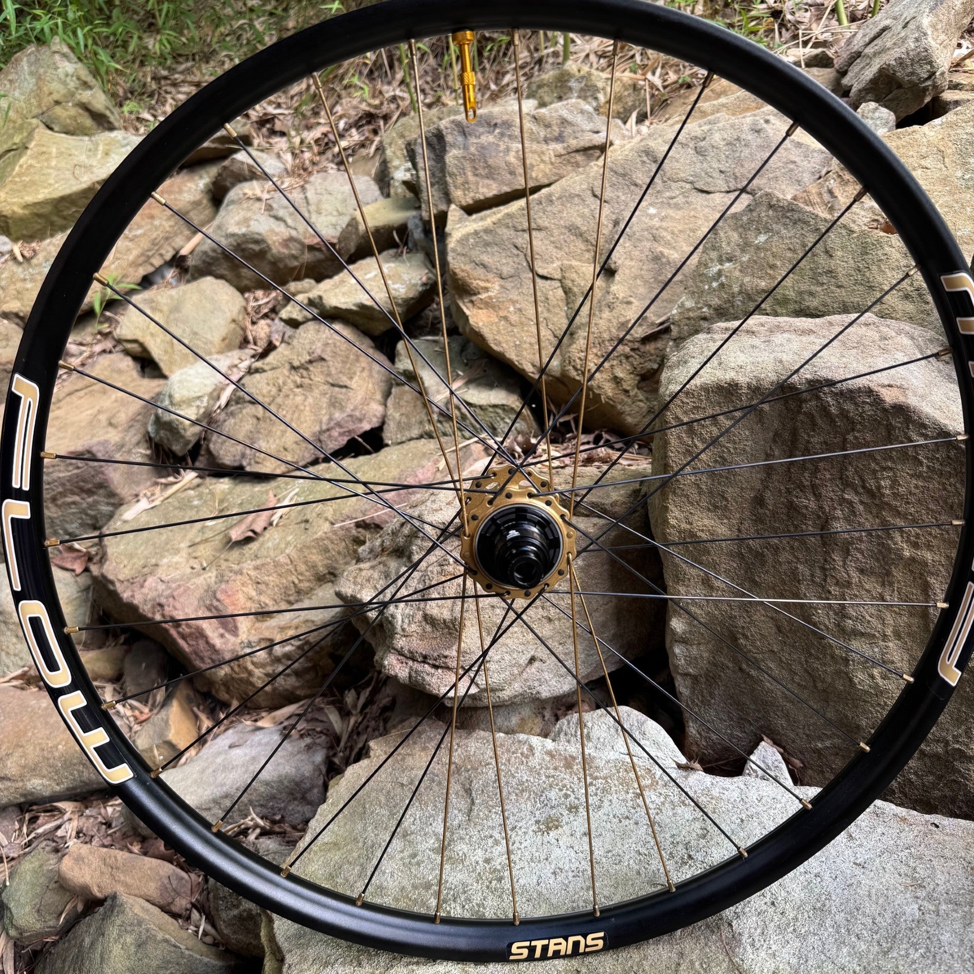 Fox Podium Gold Matching Wheels With Hydra 2 Hubs