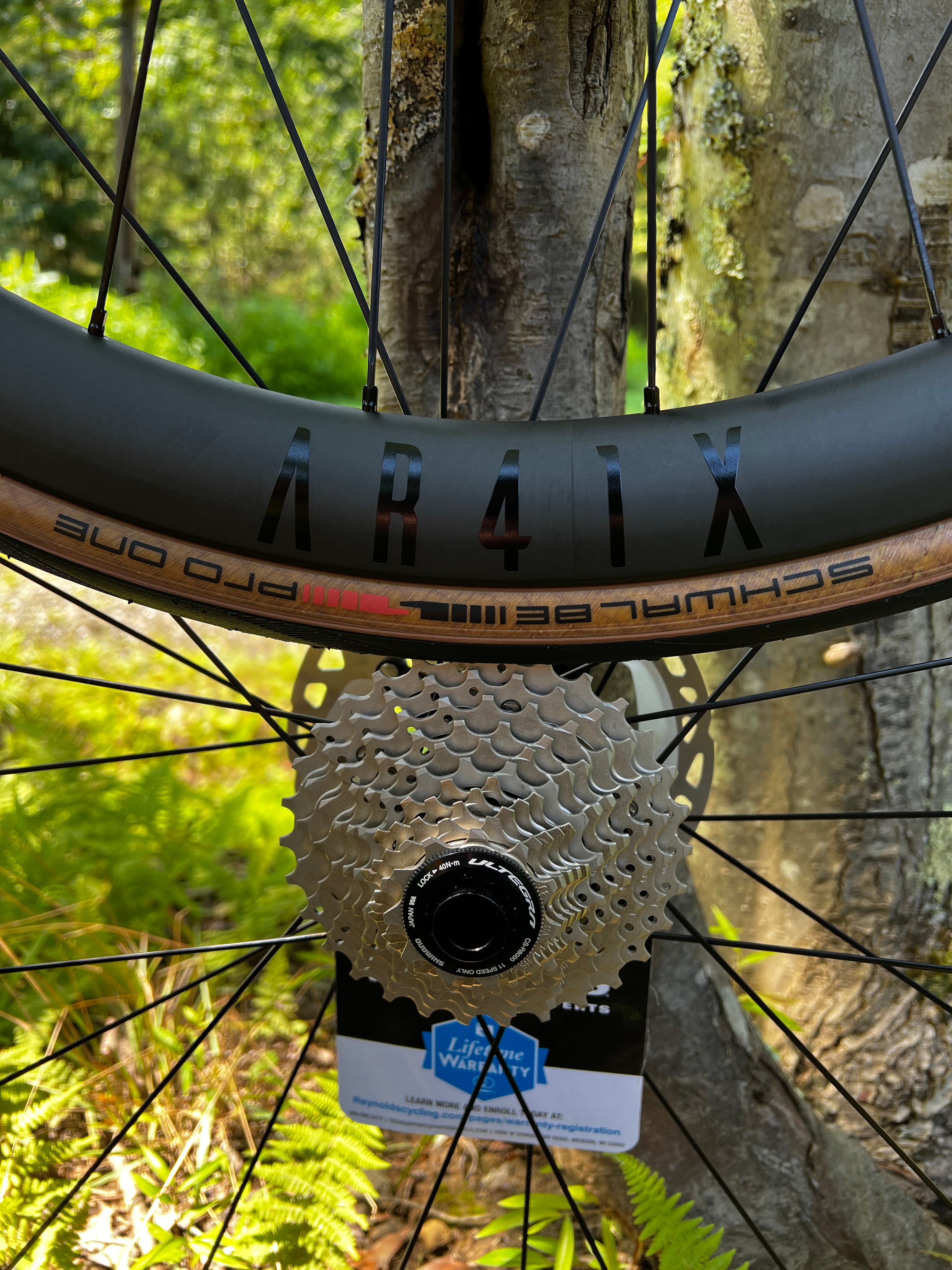 Reynolds AR 41X Disc brake