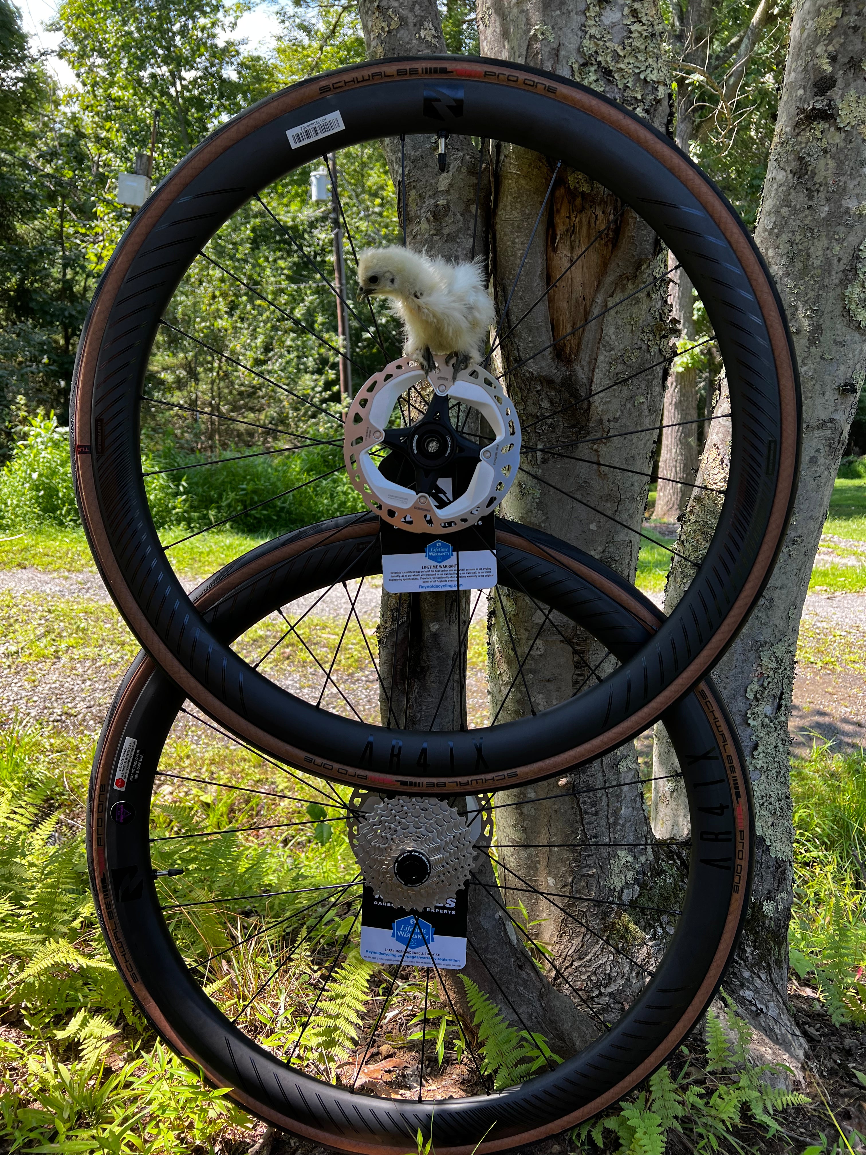 Reynolds AR 41X Disc brake