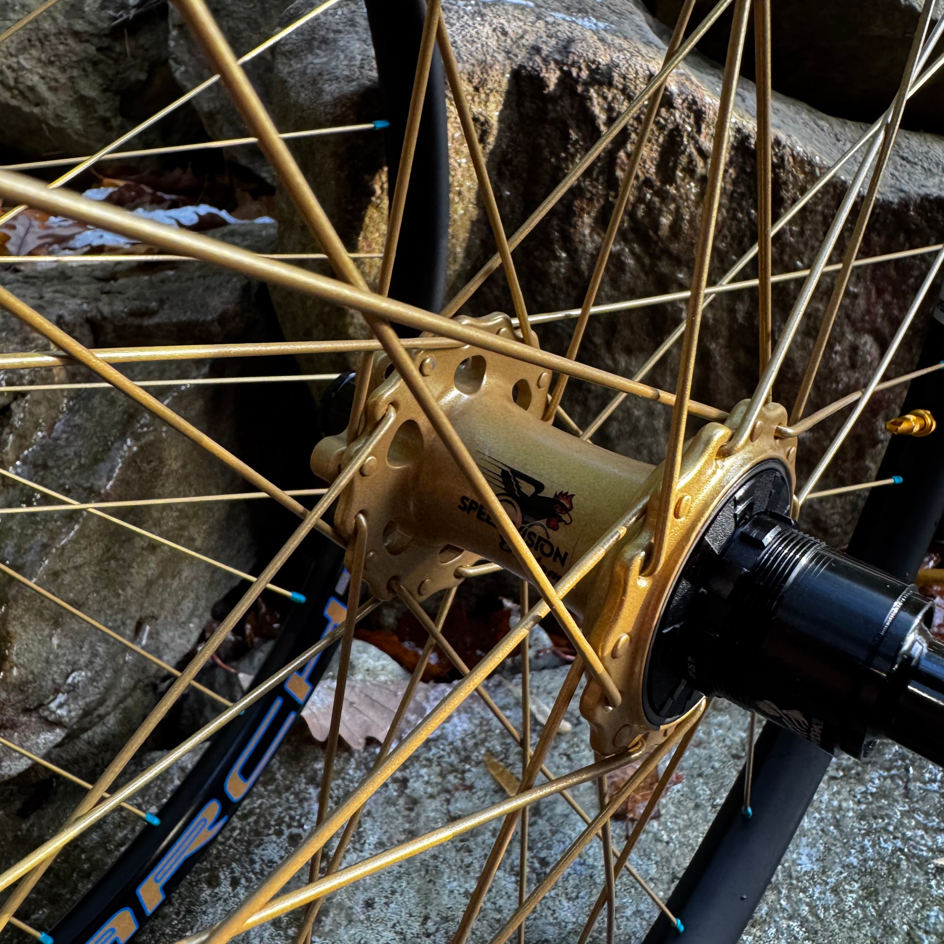 Fox 50th Podium Gold Trail wheels with Hydra H2 hubs
