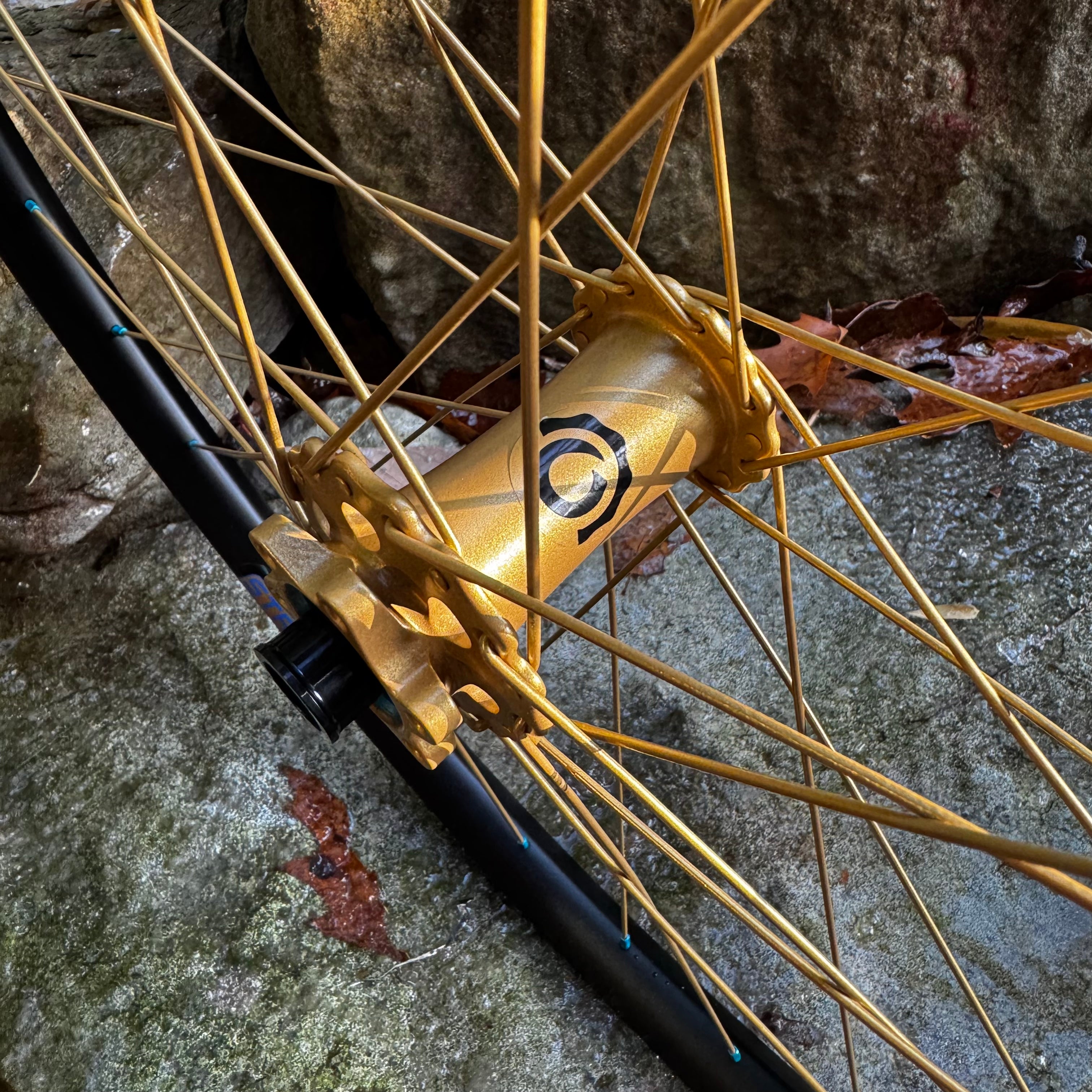 Fox 50th Podium Gold Trail wheels with Hydra H2 hubs