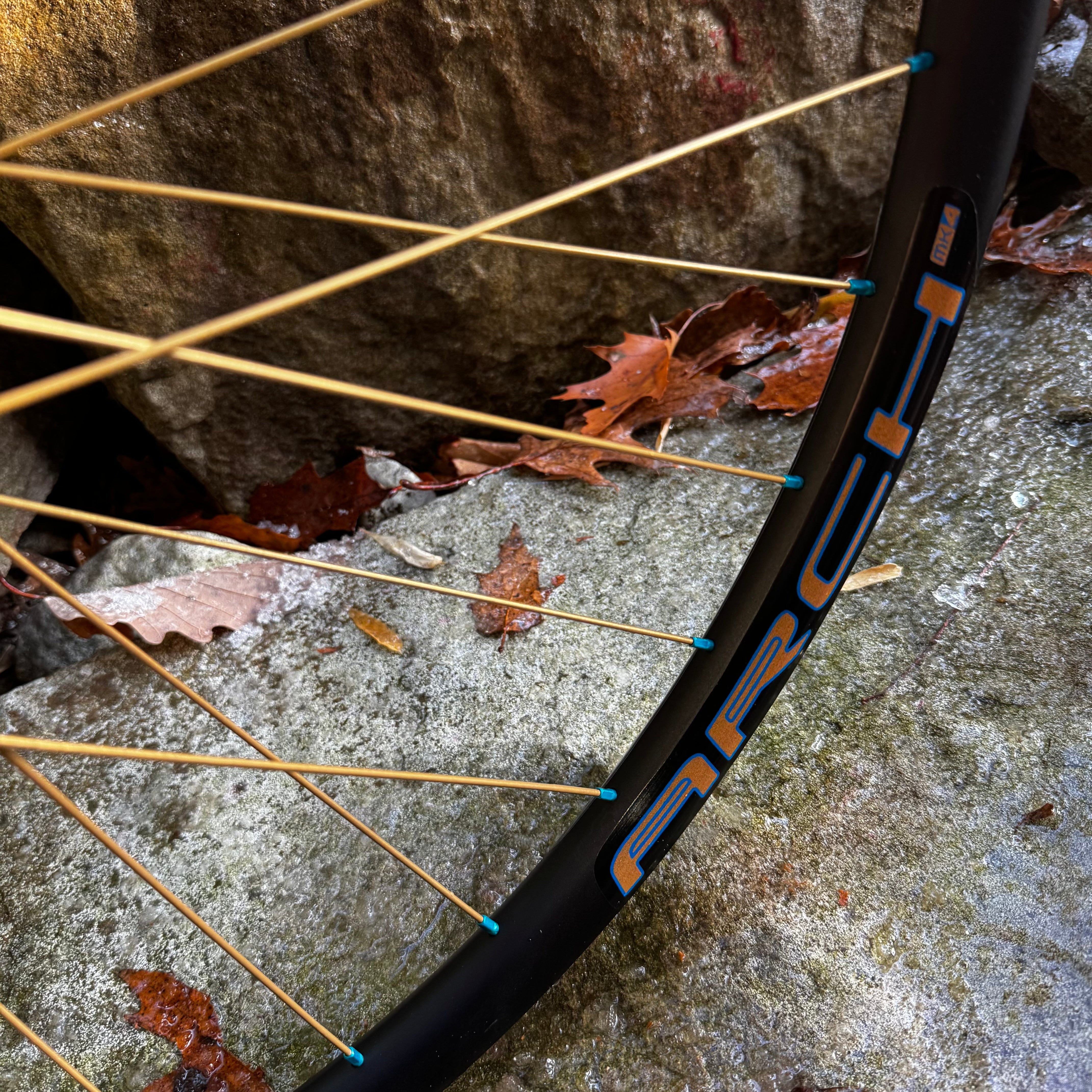 Fox 50th Podium Gold Trail wheels with Hydra H2 hubs