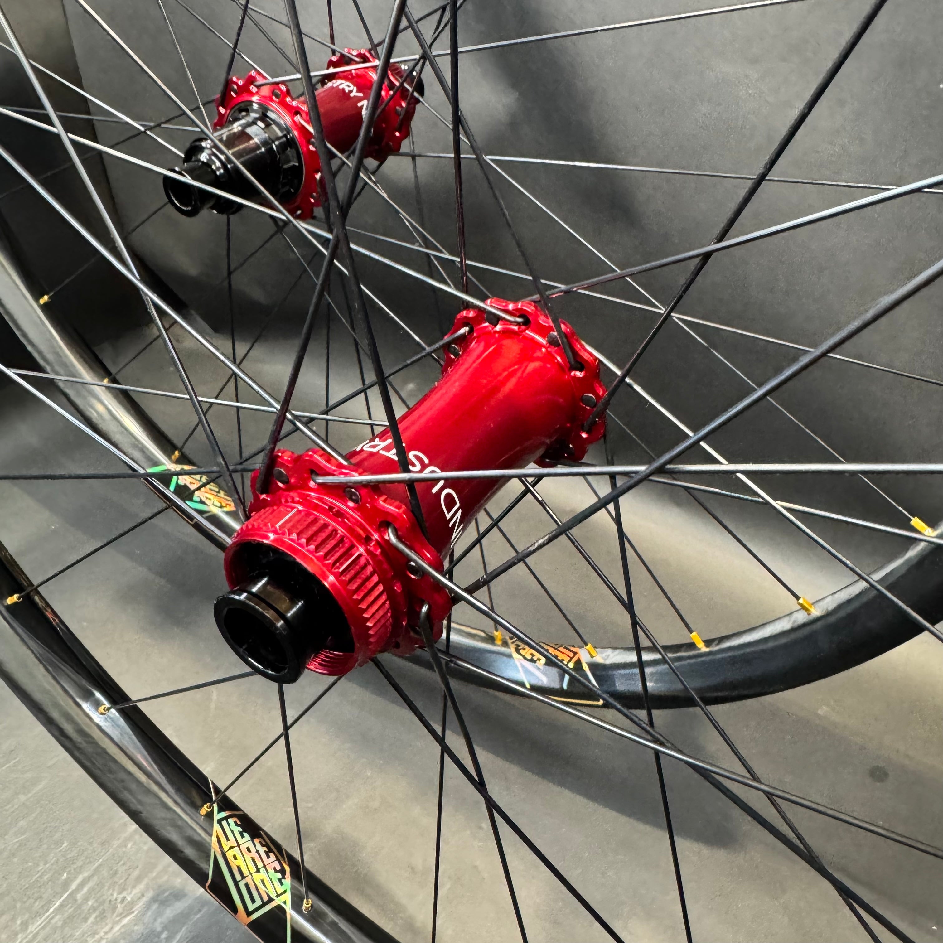 We Are One Carbon Wisp Rims with I9 Solix XC hubs