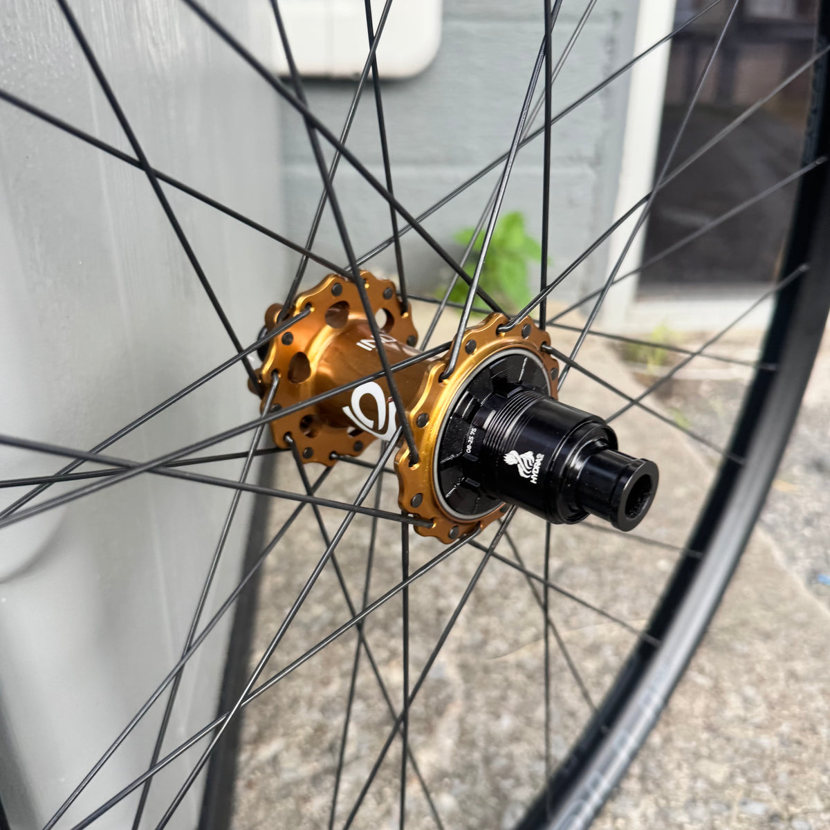 Closeout I9 Hydra Rear Boost wheels