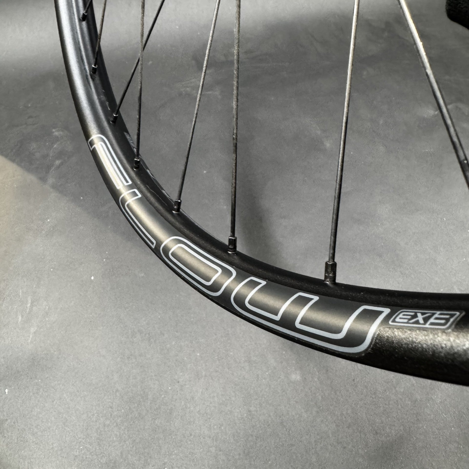 Enduro/Ebike Rear wheel Dt 370 + Flow EX3