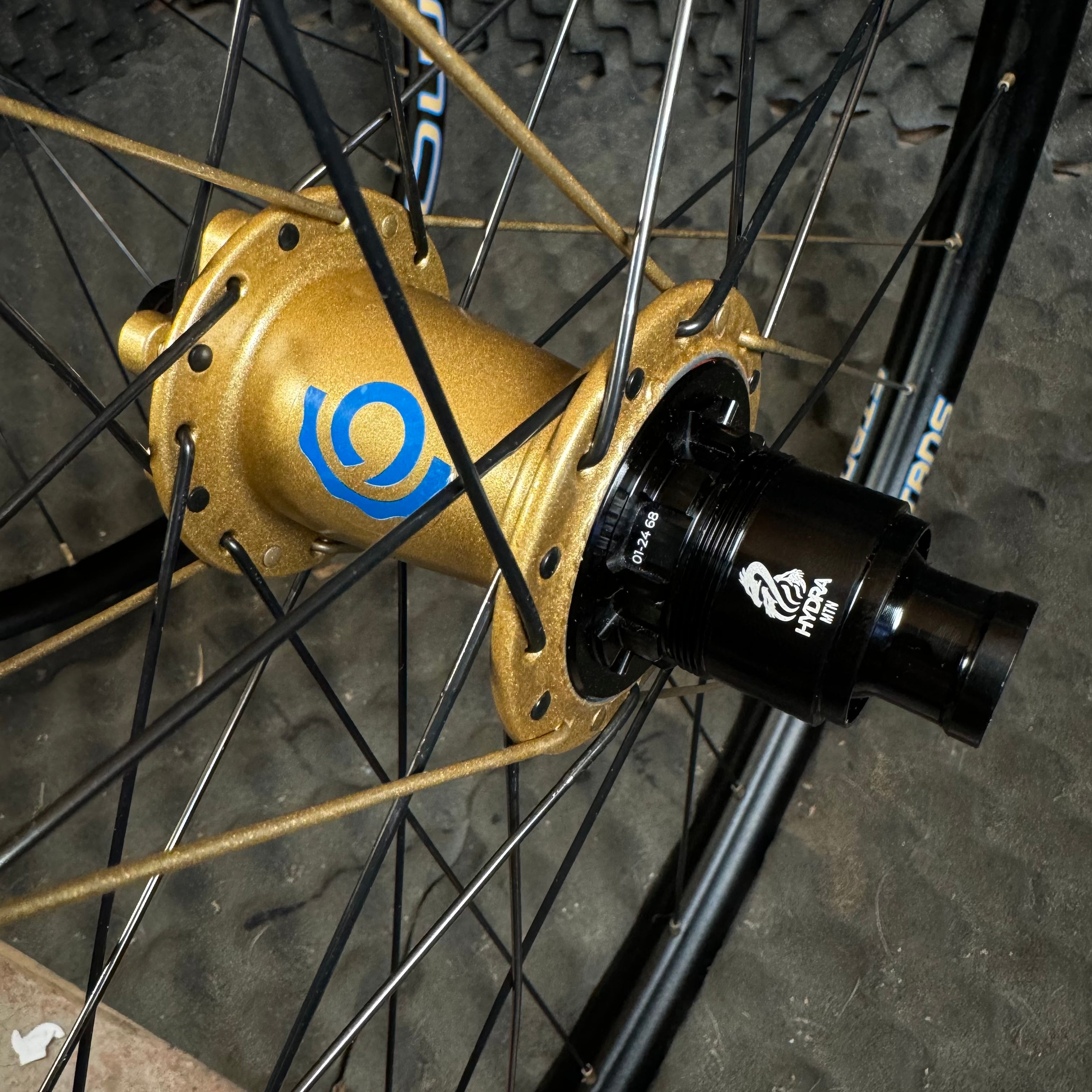 Fox Podium Gold Matching Wheels With Hydra Hubs