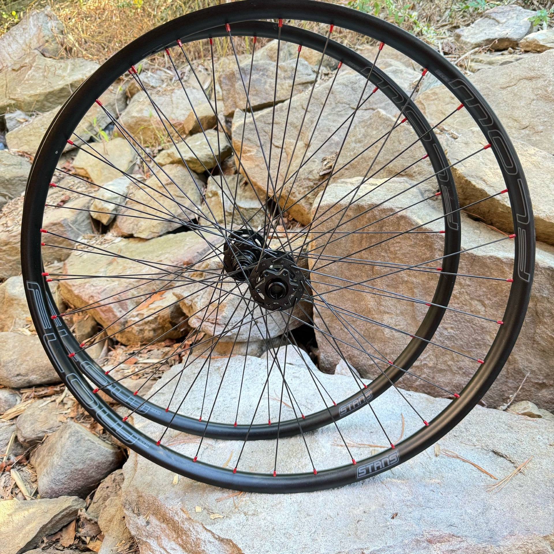 29" Enduro/E-Bike Big Hit wheels with DT 350's and Flow EX3 rims