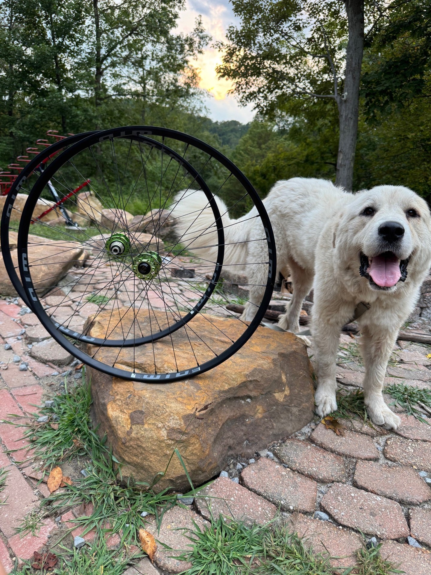 Budget Quality XC RACE Wheels