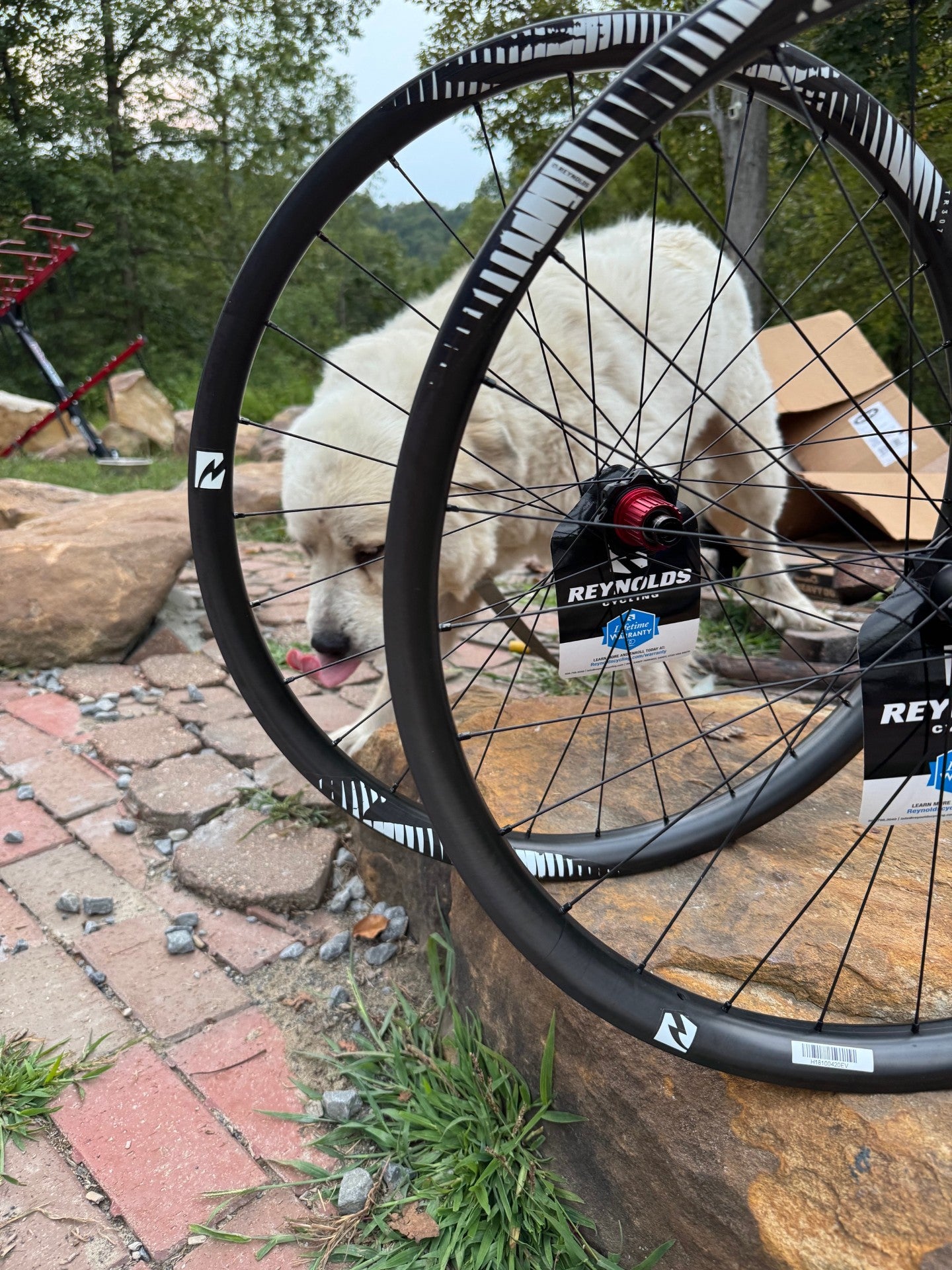 NEW Reynolds Carbon TR307 wheels with Non Boost Hubs
