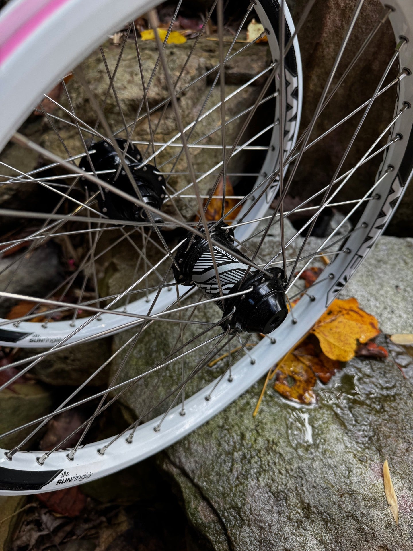 Sun Ringle Envy Pro 20" Rims with Excess Pro 120 POE hubs