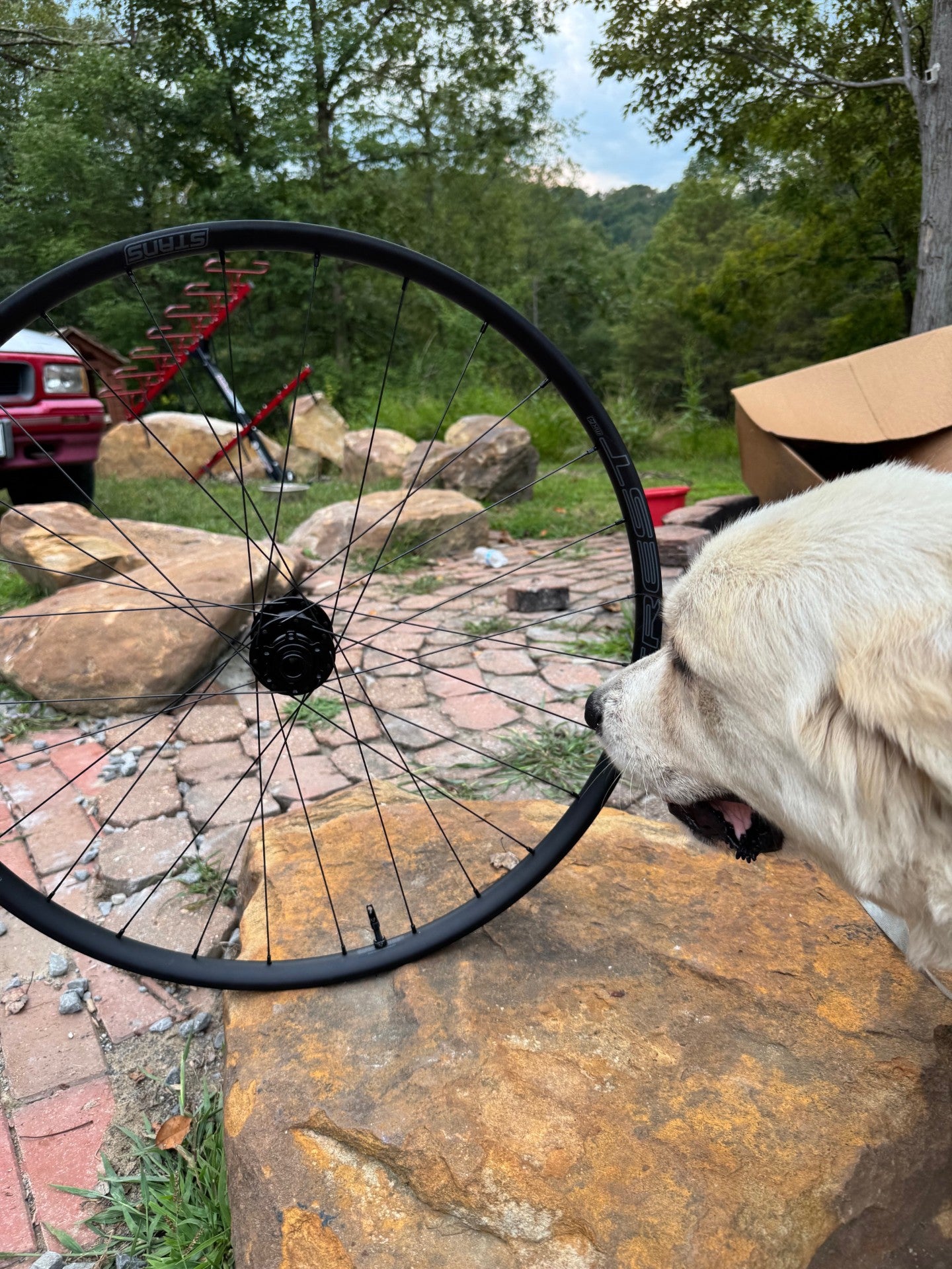 Budget Quality Gravel front wheel