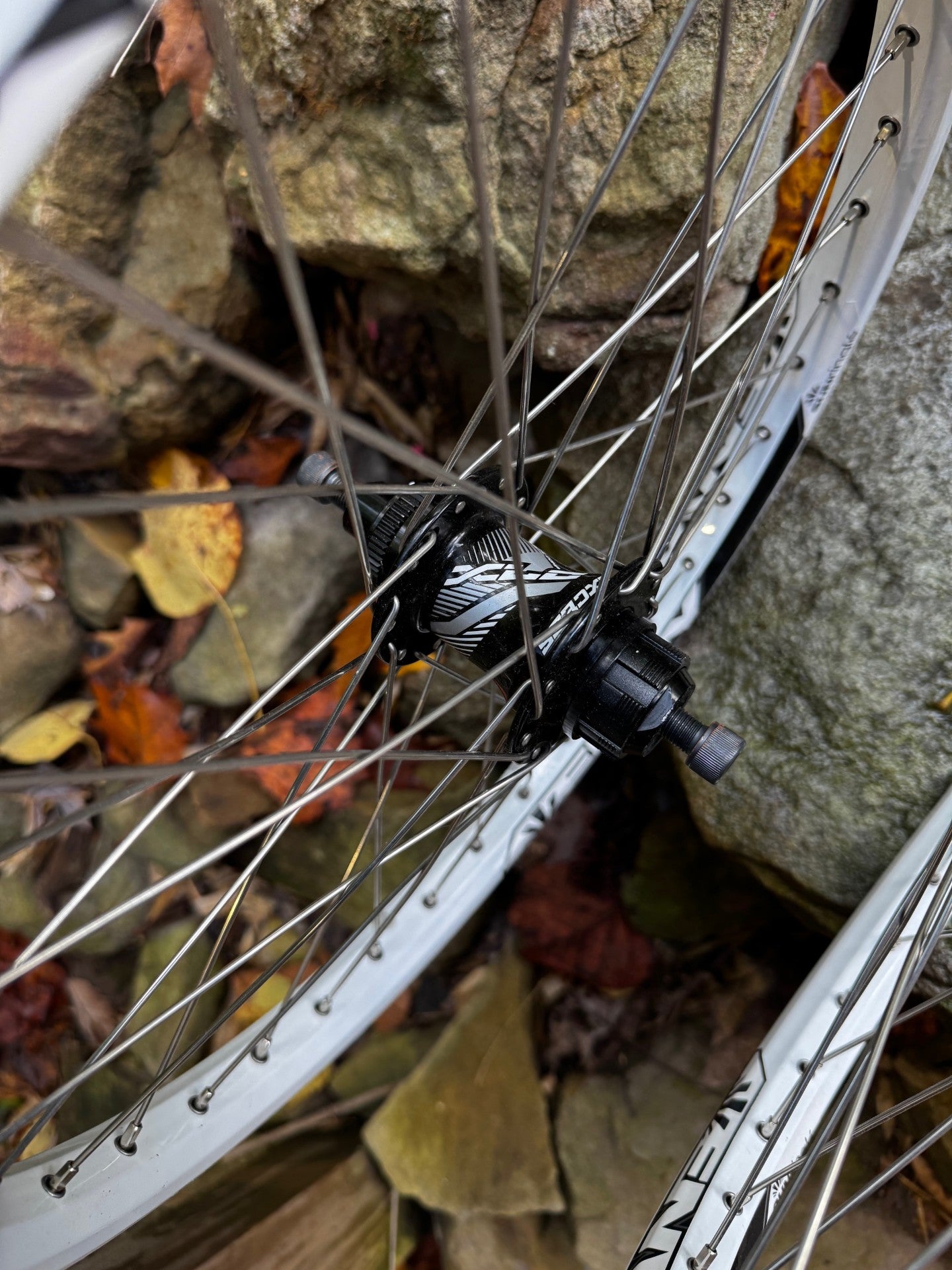 Sun Ringle Envy Pro 20" Rims with Excess Pro 120 POE hubs