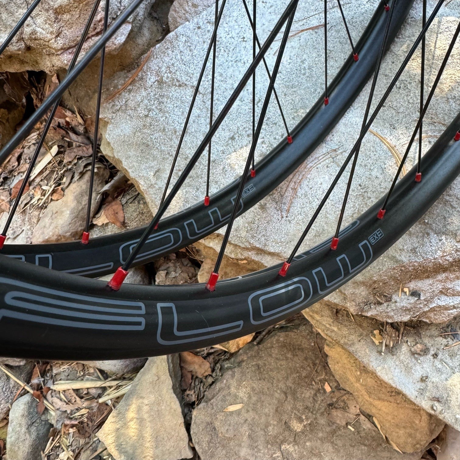 29" Enduro/E-Bike Big Hit wheels with DT 350's and Flow EX3 rims