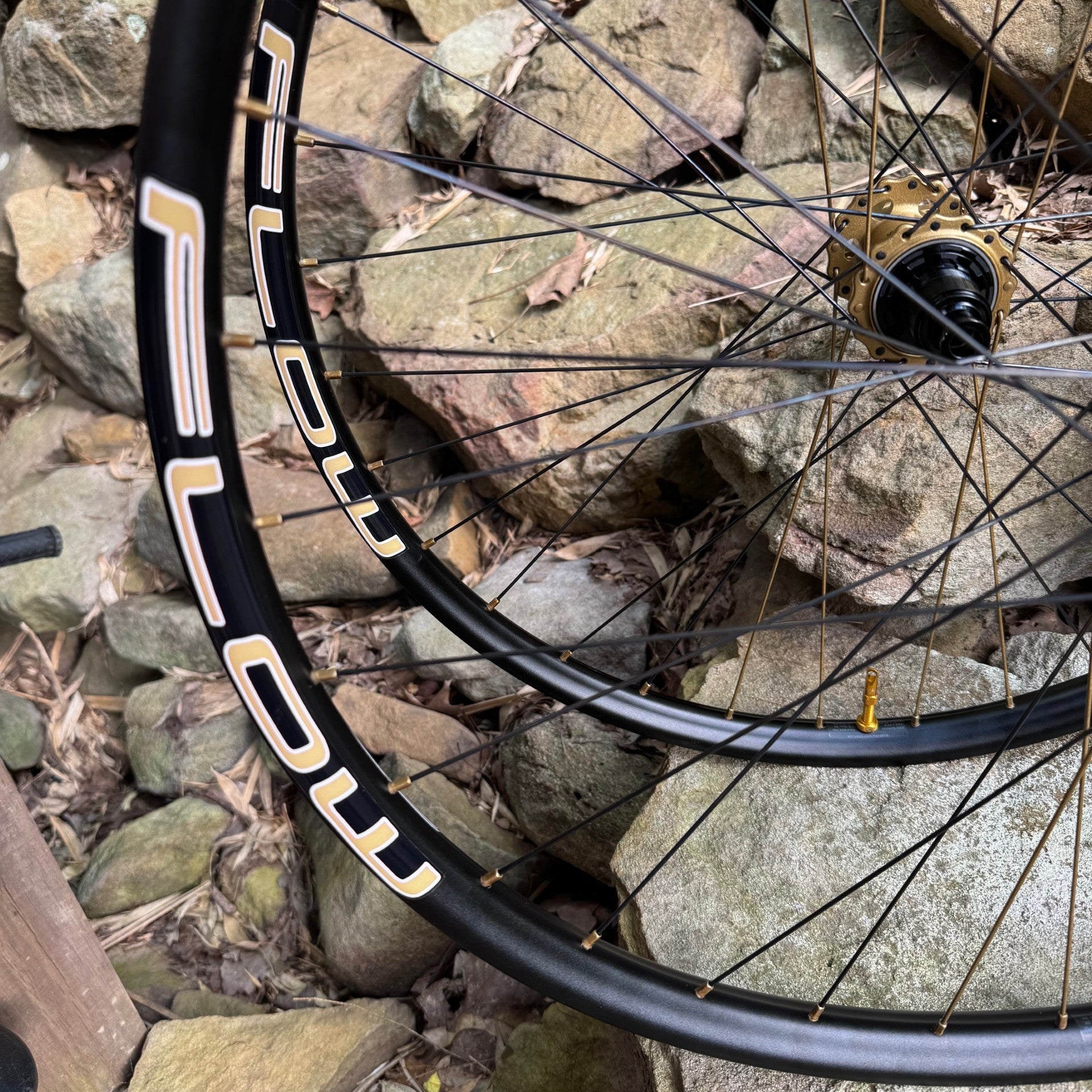 Fox Podium Gold Matching Wheels With Hydra 2 Hubs