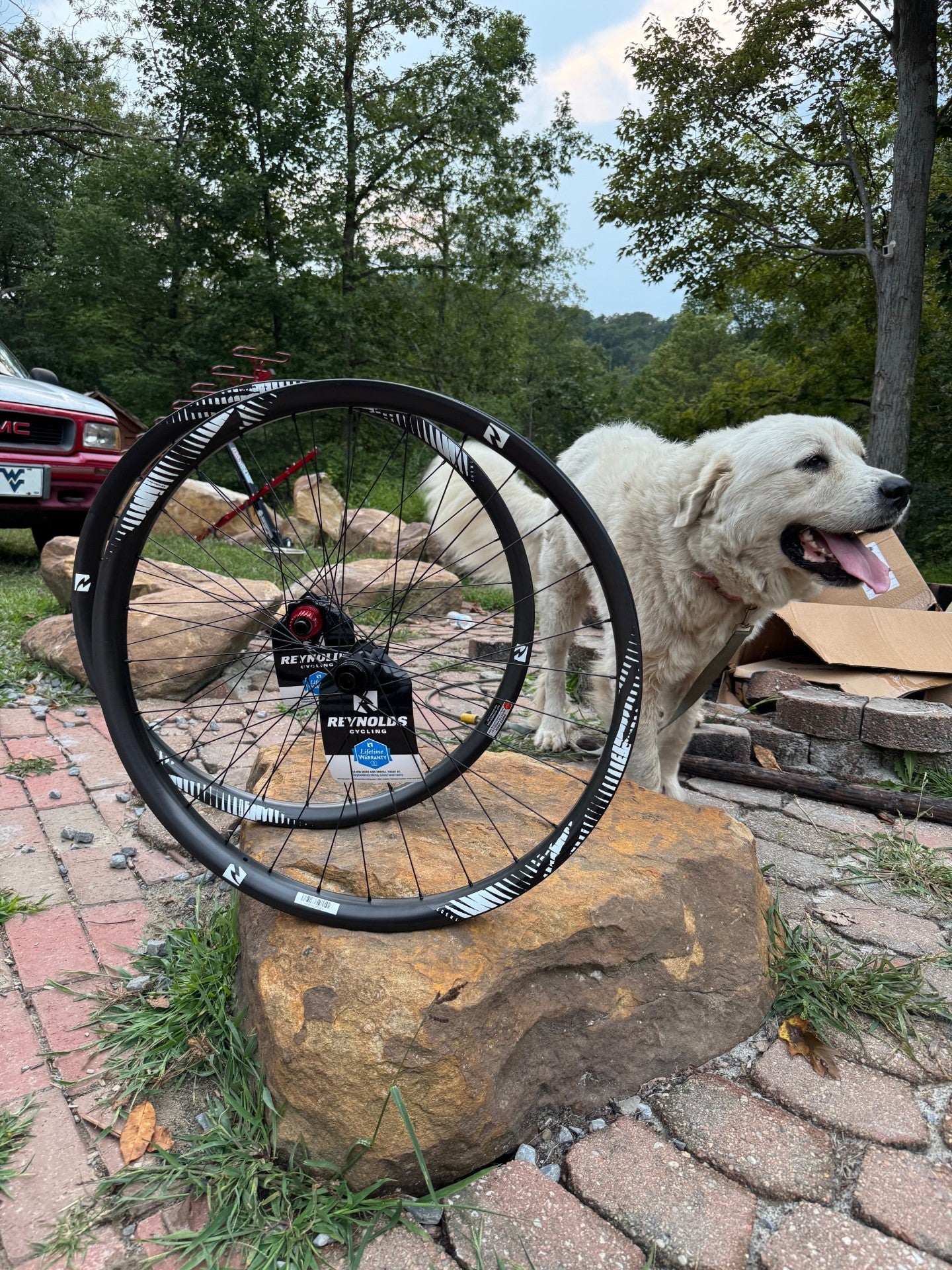 NEW Reynolds Carbon TR307 wheels with Non Boost Hubs