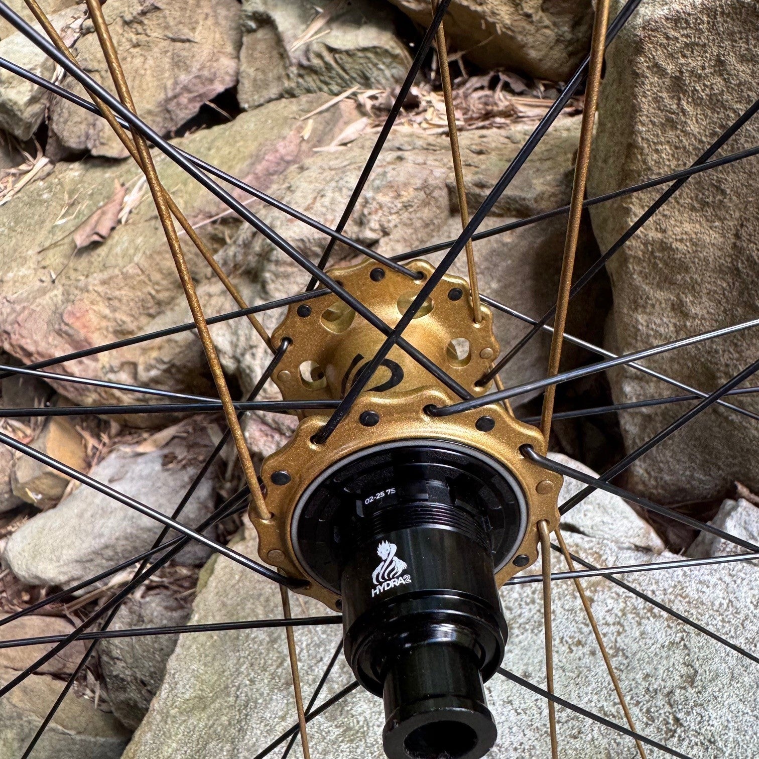 Fox Podium Gold Matching Wheels With Hydra 2 Hubs
